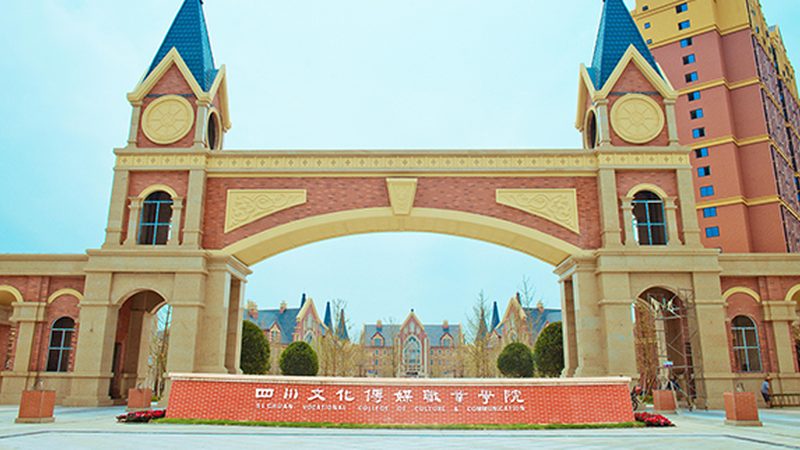 媒介投放标准流程揭秘：从策略制定到效果评估