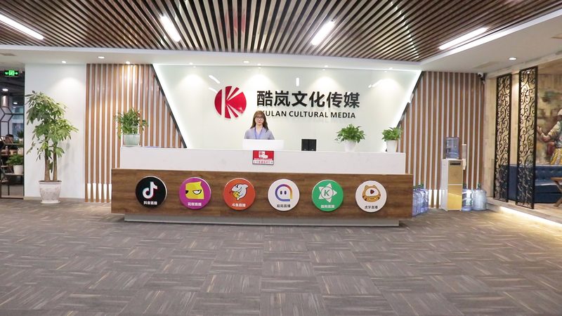 餐饮企业宣传片导演选择：关键因素与误区解析**