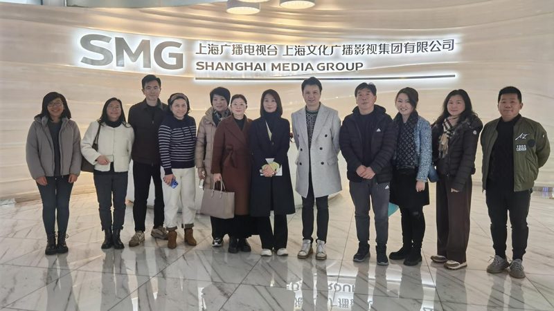 品牌策划定制服务：优缺点解析