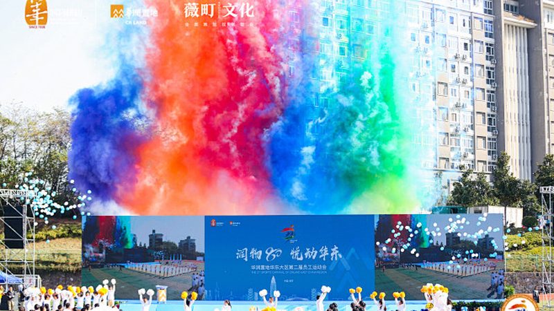 特种纸与烫金工艺：VI设计价格差异的核心秘密